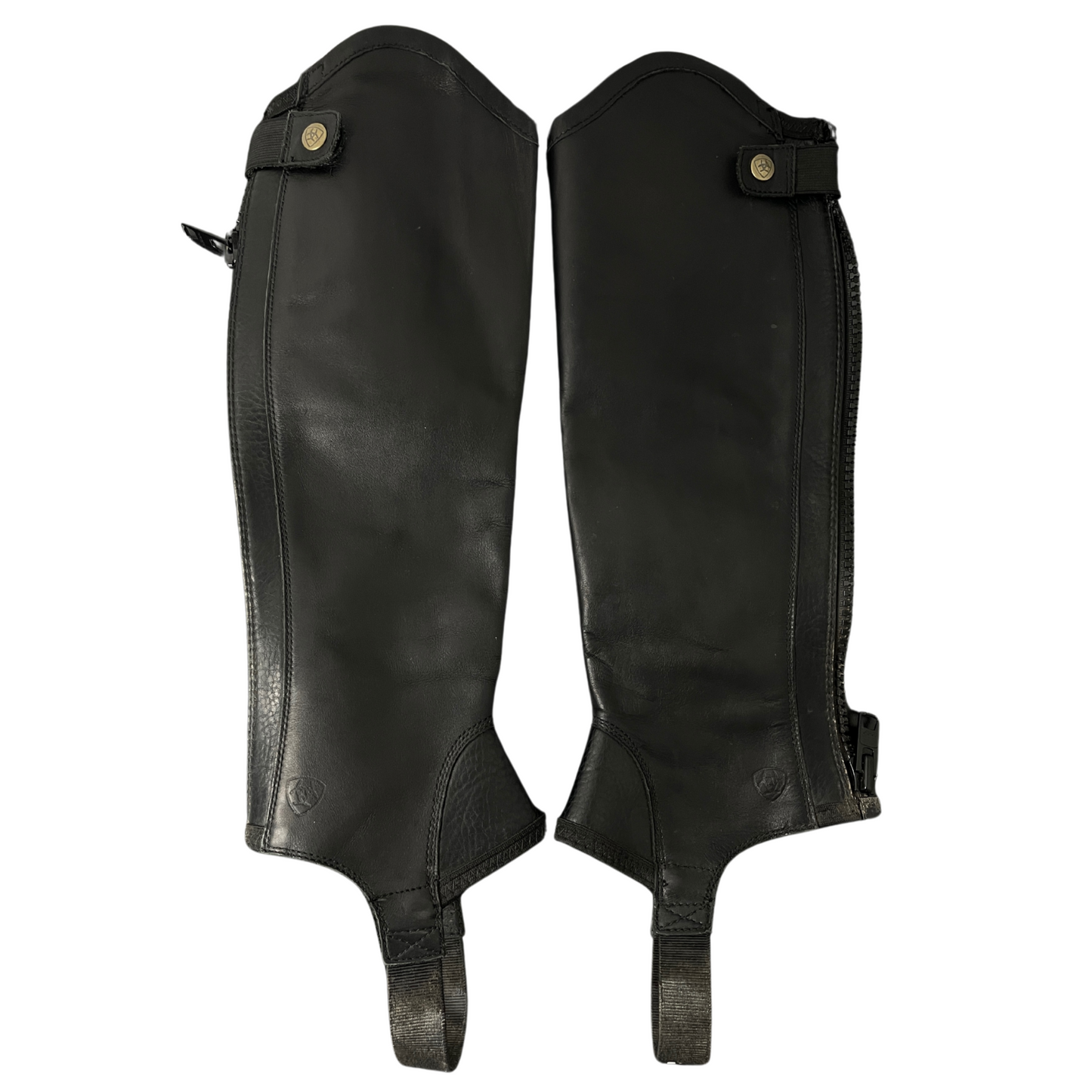 Ariat chaps