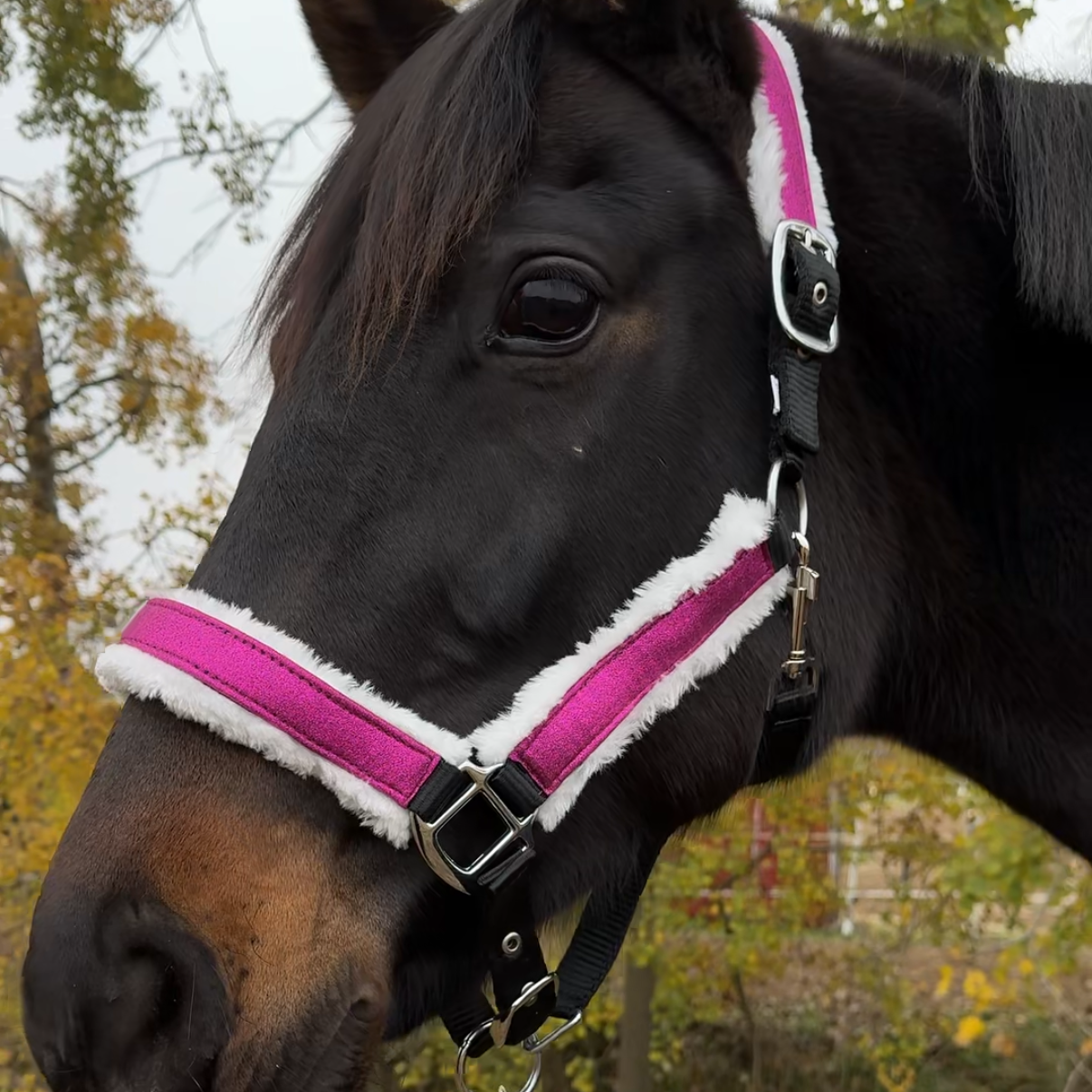 Revallo Halfter mit Strick alle Größen