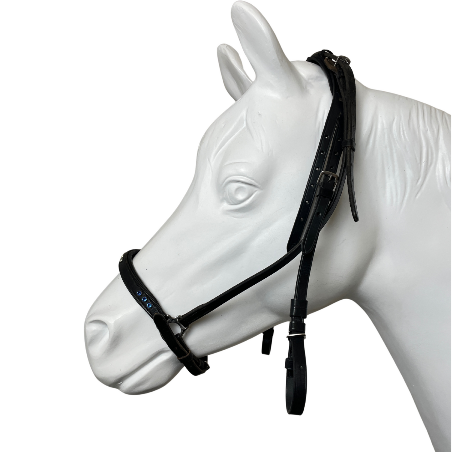 Ponytrense