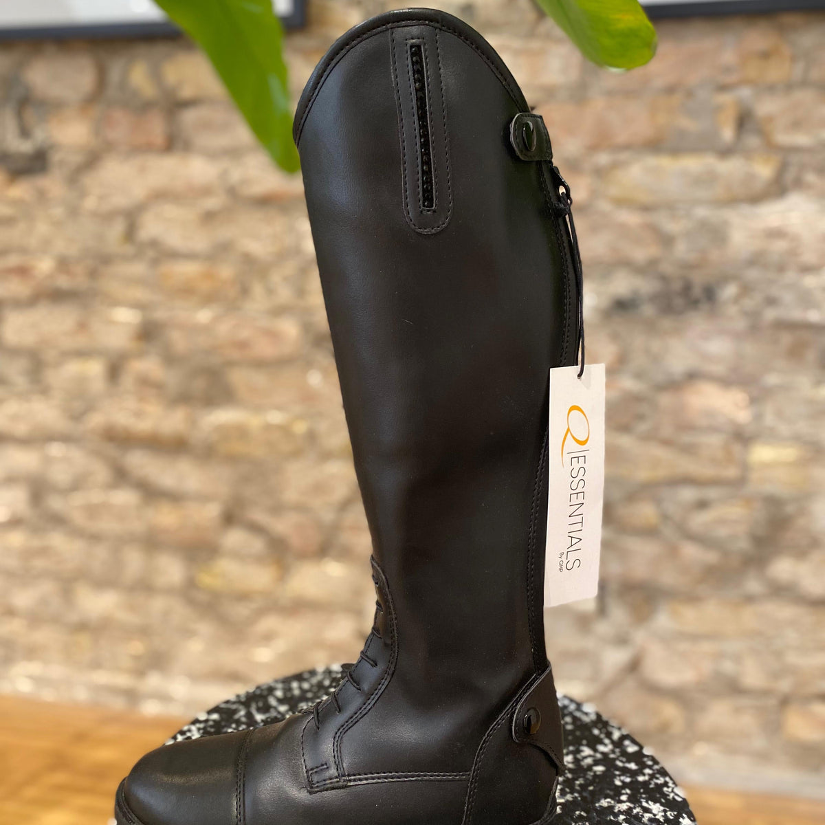 QHP Reitstiefel Gr. 37