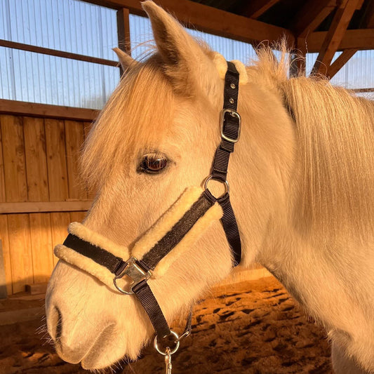 Revallo Halfter mit Strick alle Größen