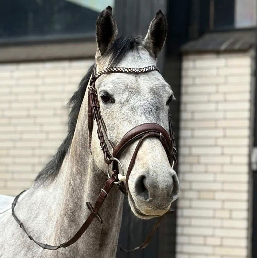Glitzer Trensen in Braun und Schwarz