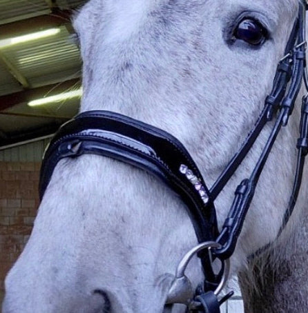 Glitzer Trense mit Lack